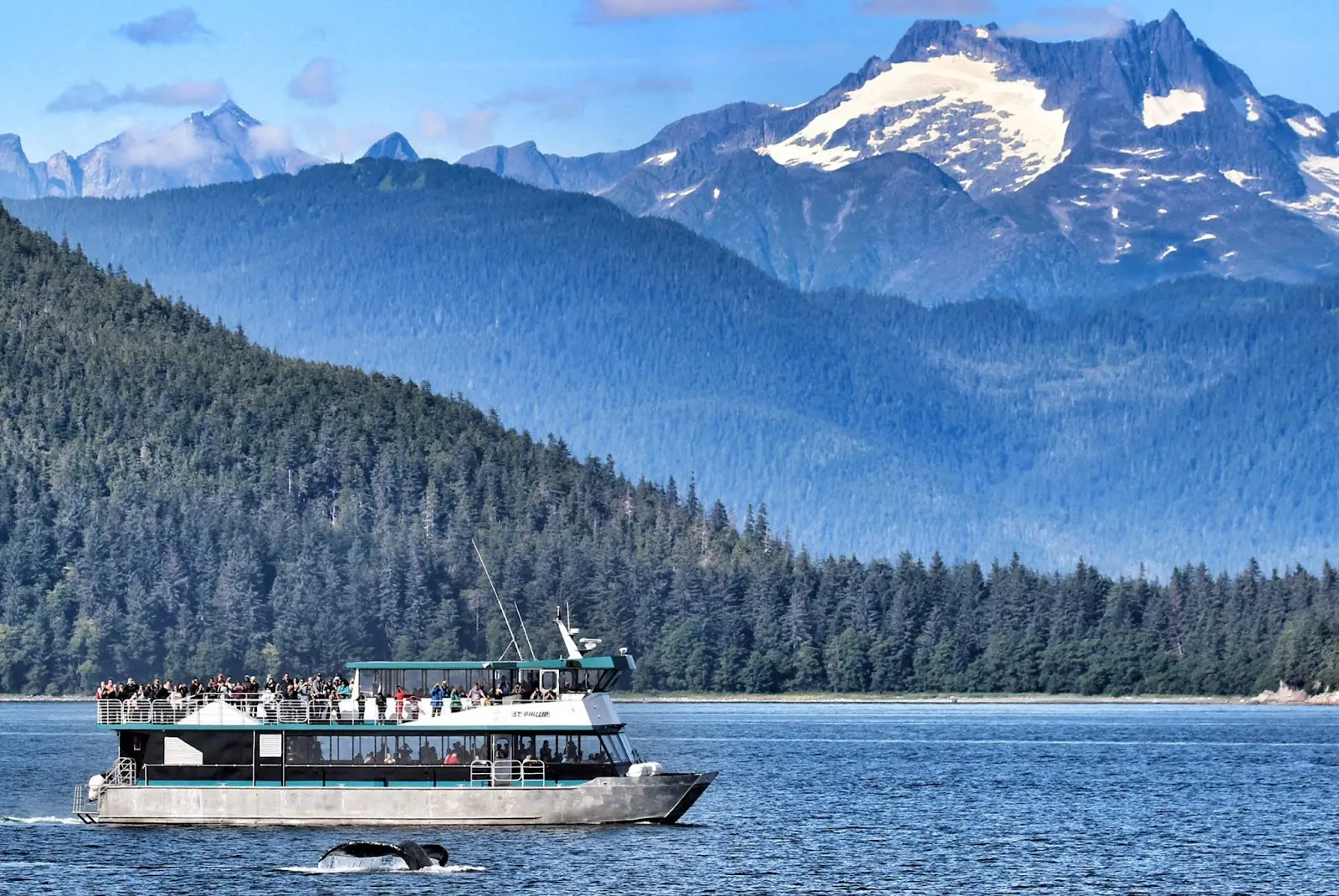 Whale watching trip 