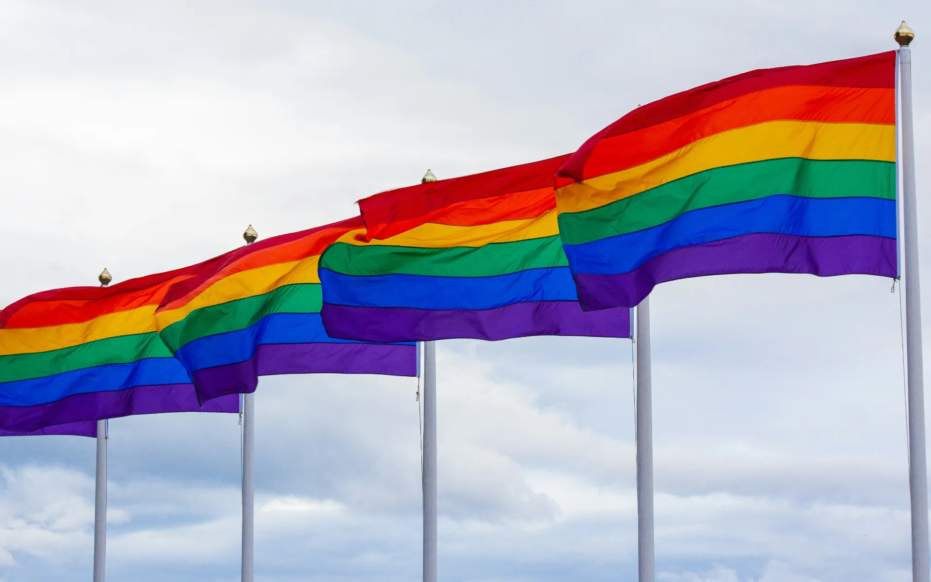 A series of Pride flags flying in a row