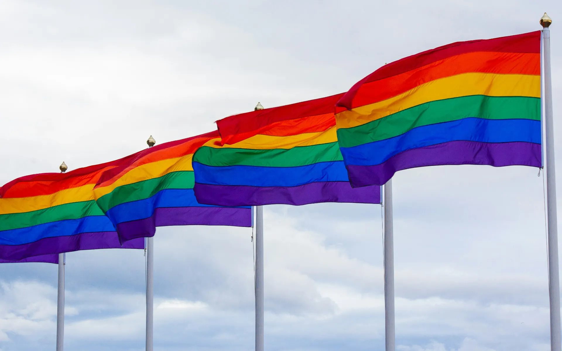 A row of rainbow Pride flags