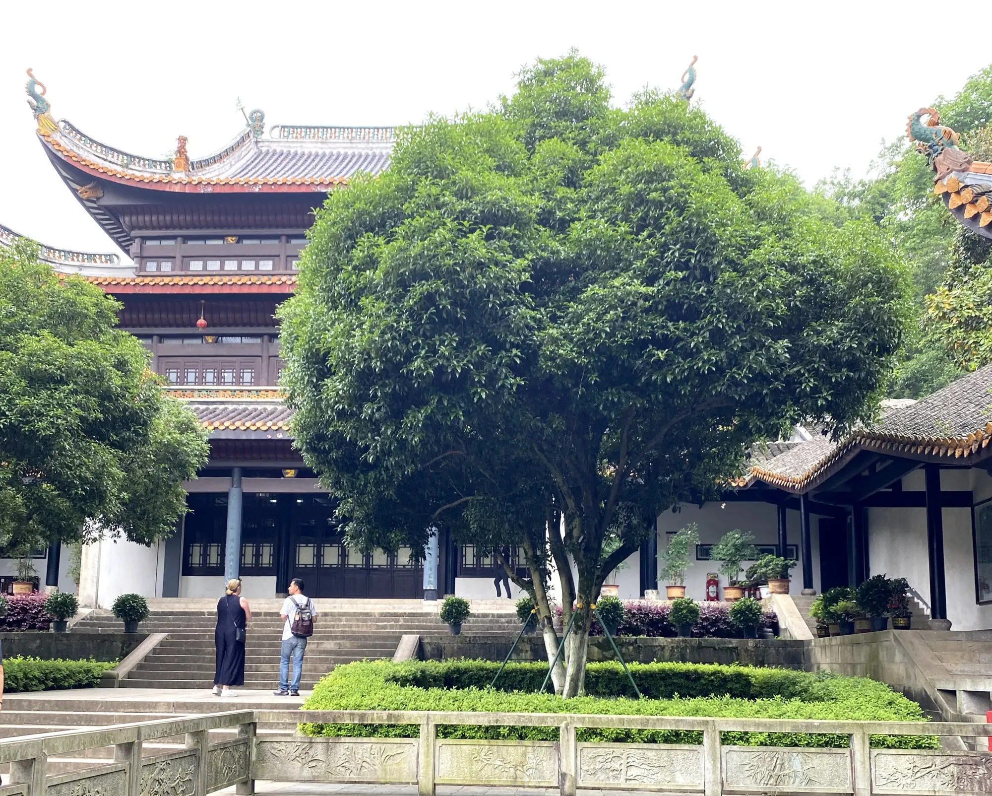 Yue Lu Academy