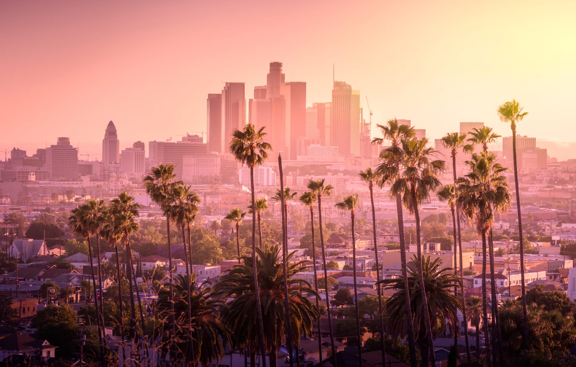 LA, USA