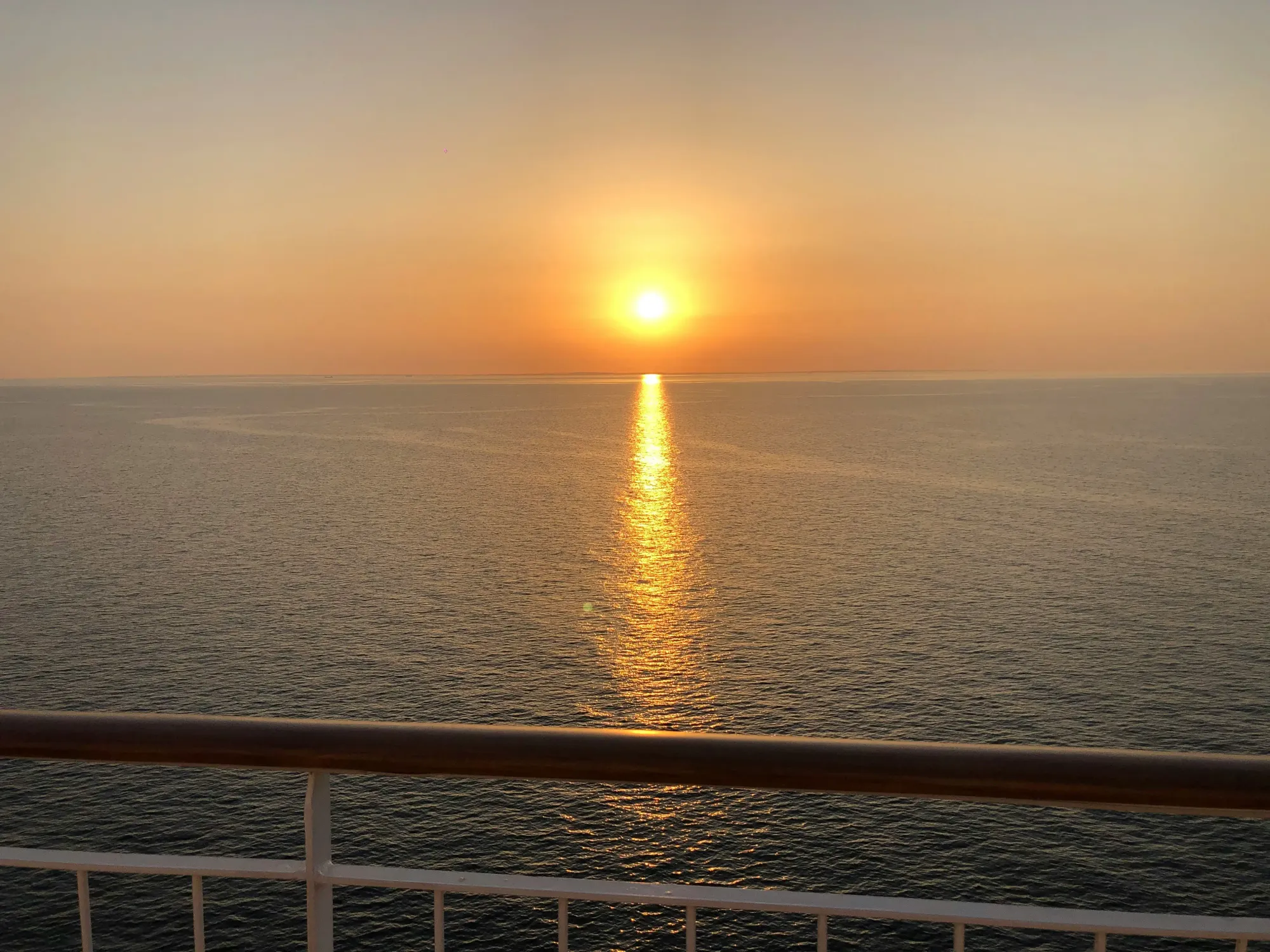Cruise at duck