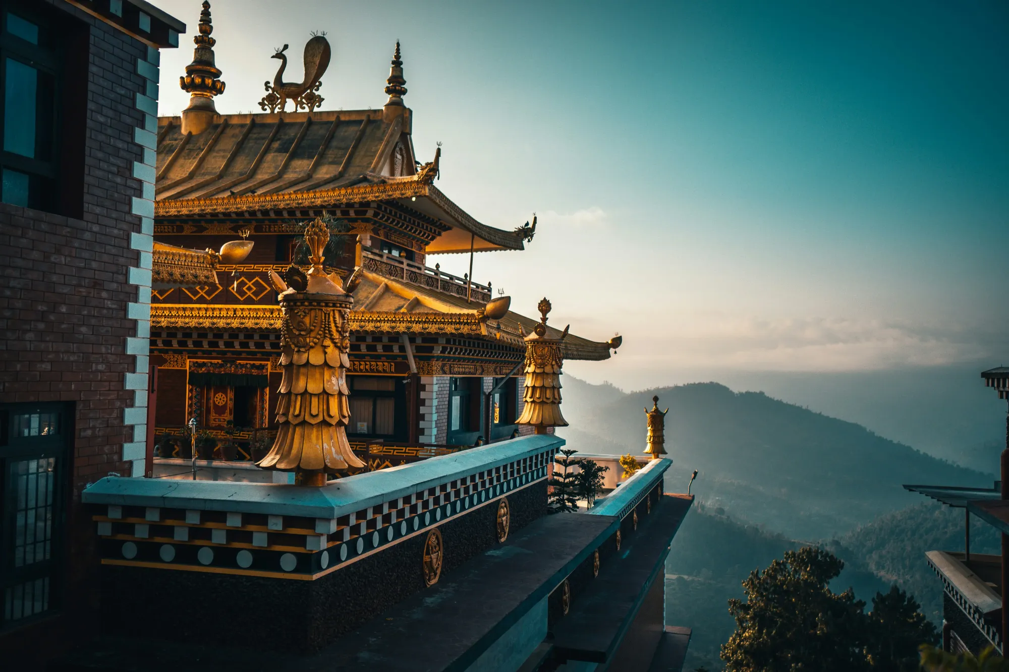 Immerse in local experiences