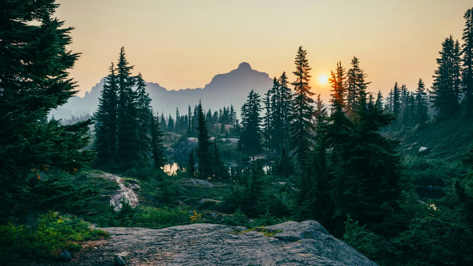 In the midst of nature