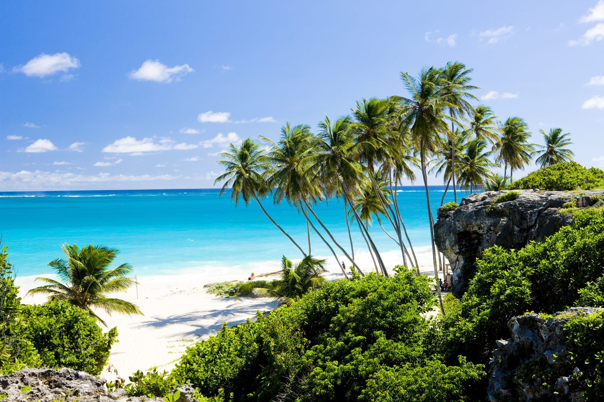 An image of a hidden beach with bright blue waters and vibrant foliage in Barbados, the Caribbean