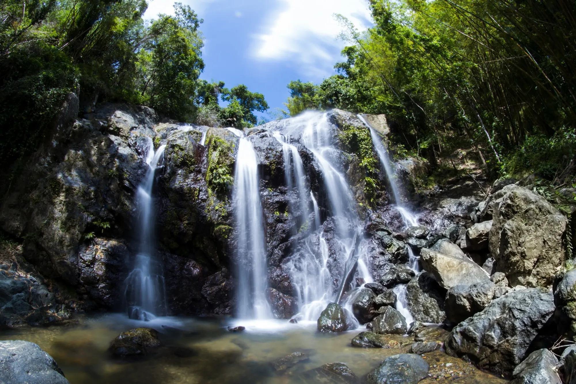 Argyle Falls, Tobago