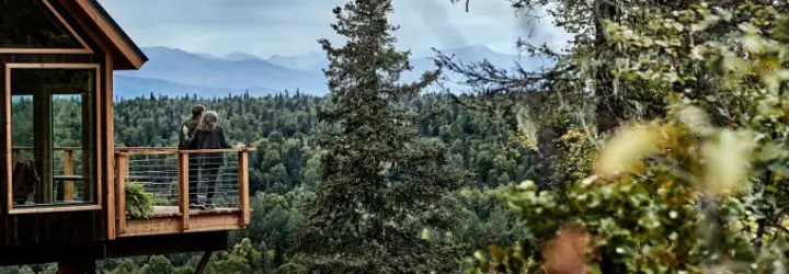 Alaskan Treehouse