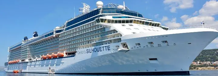 Celebrity Silhouette