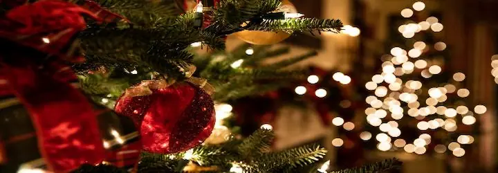 Luxury Christmas Cruising