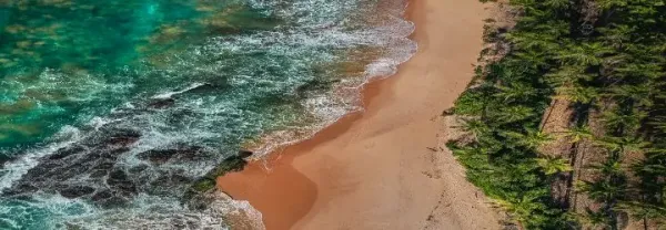 Indian Ocean