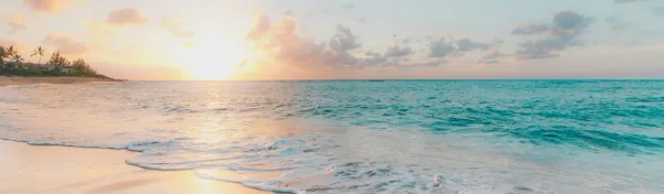 Image related to Beyond the waves: How ocean-inspired names are increasing in popularity