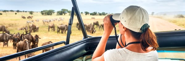 Image related to Handcrafted holidays: top cruise tour packages you won’t want to miss